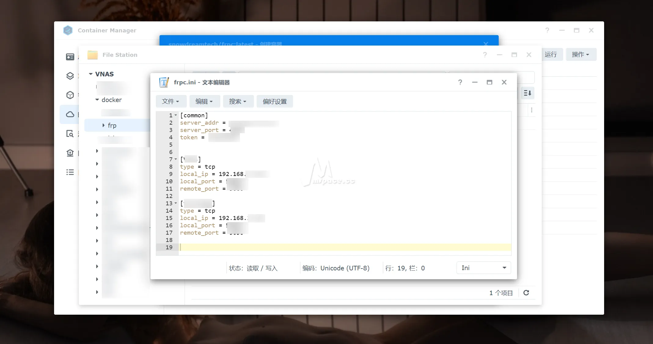 图片[12]|2024 一键部署 FRP 内网穿透服务端 + 群晖 NAS 客户端配置 | 保姆级教程