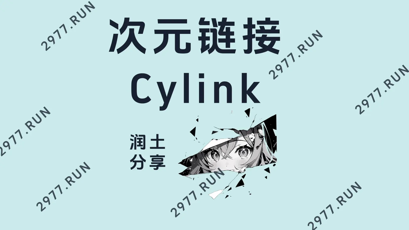 次元链接机场官网 润土分享