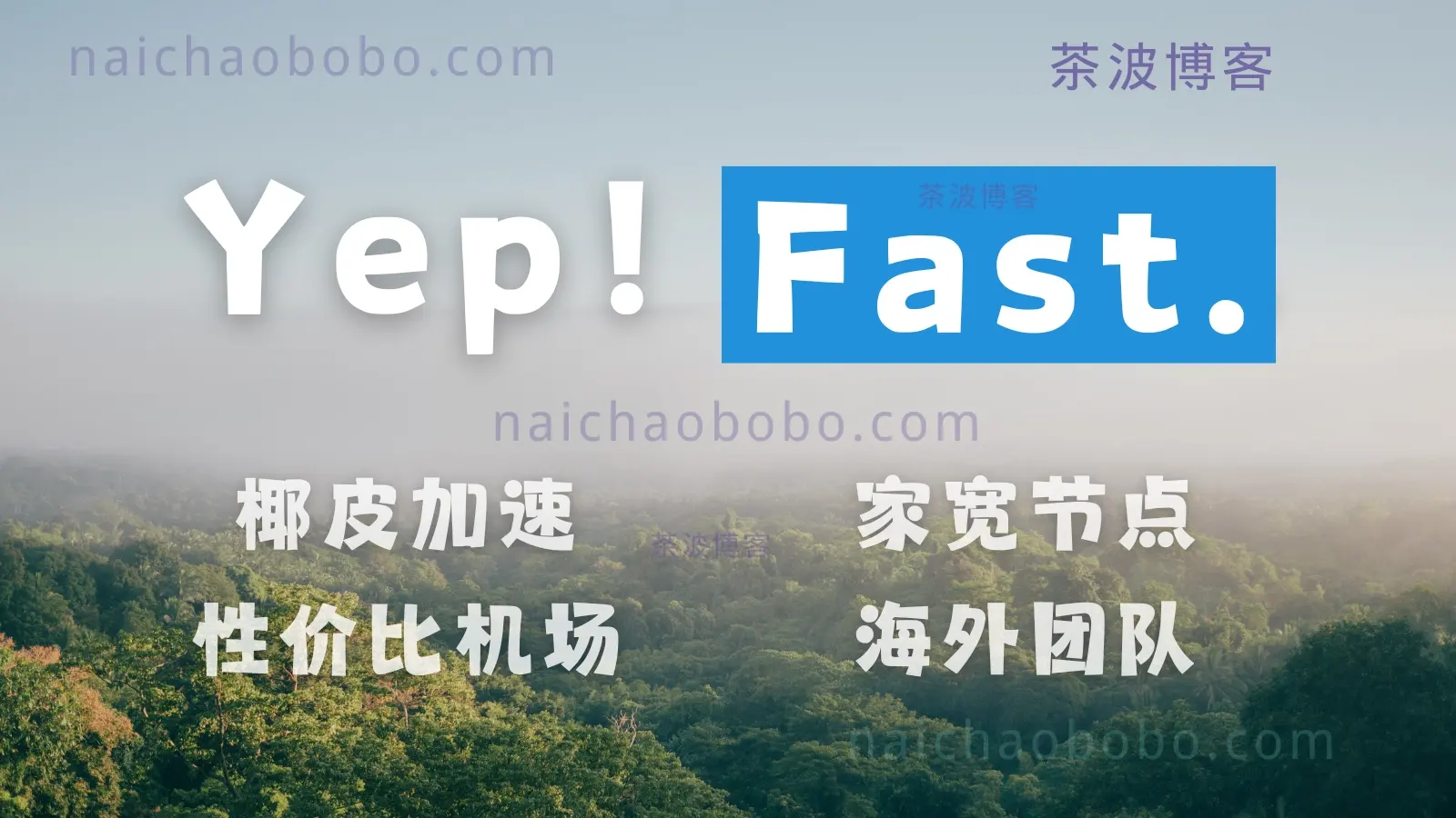 yepfast 椰皮加速机场