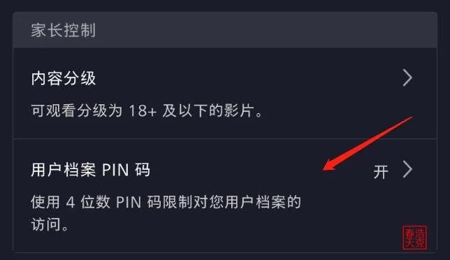 Disney 怎么看 丨2025中国大陆观看Disney Plus综合指南 4 Disney 的 PIN 码 jpg