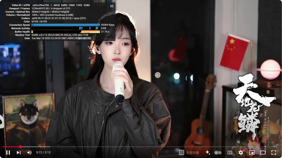 冲上云霄 youtube4k 深港BGP 自定义