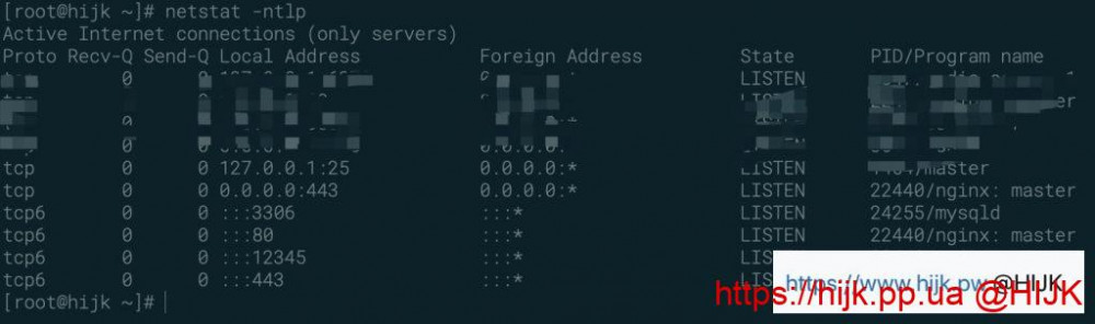 监听ipv6流量