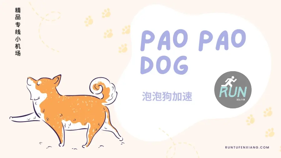 泡泡狗机场