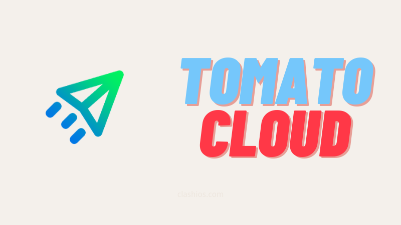 TomatoCloud 机场官网 tomato cloud 机场官网