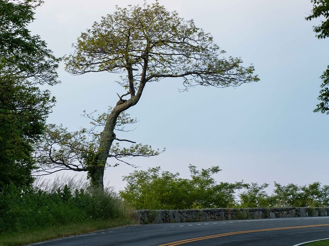DSC00504